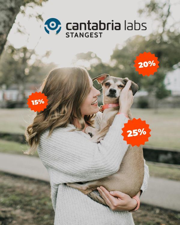 ¡Este verano, protege a tu mascota con Stangest!