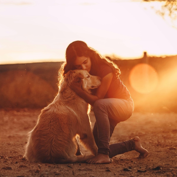 ¿Qué antiparasitario usar este verano? Guía para elegir entre pipeta, collar o spray
