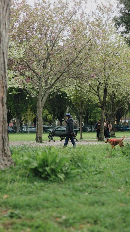 Cómo cuidar a tu mascota en primavera: guía completa