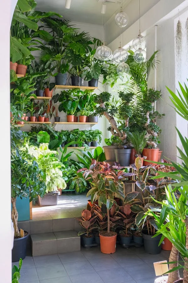 Transformer Votre Maison en Espace Biofilique et Sain