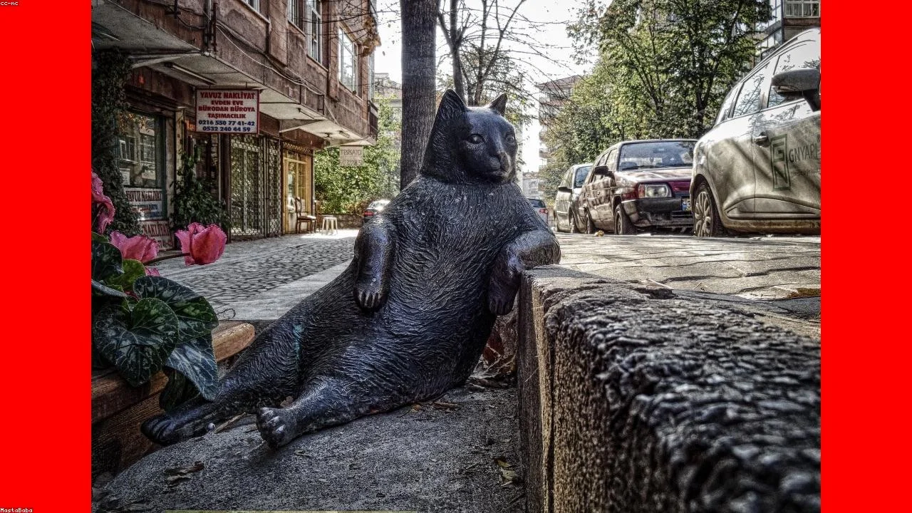 Tendencias en cuidado de mascotas 2026: nutrición personalizada y tecnología